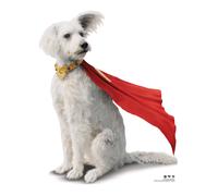 Krypto Superdog Live Action Stile Cartone Ritaglio Superman 2025 Con Gratis Mini