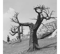 Krzysztof Penderecki & Experimental Studio Of Polish Radio - Saragossa Manuscript OST