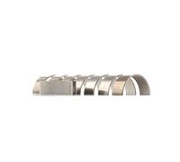KS kolbenschmidt 77 873 600 Set di Pl