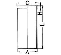 KS KOLBENSCHMIDT 89 456 190 Cilindro Vaso
