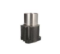 KS KOLBENSCHMIDT 89 495 110 lattina di cilindro