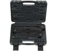 KS Tools 150.3205 Serie di chiavi per ghiere con spine intercambiabili, 20 pz