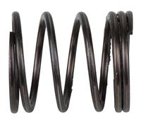 KS Tools 515.3881-R009P Molla di smorzamento