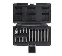 KS TOOLS Set, Inserto-Cacciavite (punte)