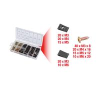 KS Tools 970.0530 Assortimento di dadi & viti per carrozzeria, 170 pz
