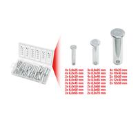 KS TOOLS Assortimento Sicurezza, Ø 2,5-10mm,60-tlg. 970.0210 Bulloni