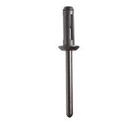 KS Tools Clip per rivetti ciechi per GM, 10pz. Ø5,1mm Quantità:1