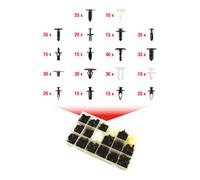KS Tools 420.0250 Serie di clips di fissaggio - Ford, 415 pz