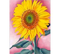KSHAO ATHQW Georgia O'Keeffe Poster Girasole Arte della Parete Georgia O'Keeffe Tela Pittura Stampe Astratte per Soggiorno Immagini della Casa Decorazione 30x50cm No Frame