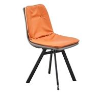 ksjdieunf Sedie da ufficio per la casa Sedia da pranzo con doppio schienale, sedia creativa for la casa e il tempo libero, scrivania for camera letto Soggiorno e tempo libero(F)