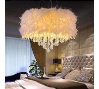 ksxnkhk Lampadario Moderno con Piume e Pendente in Cristallo, lampadario con Piume Bianche, lampadario Romantico e Femminile per la cameretta delle Ragazze, lampadario a Forma di Nuvola so
