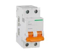 KSZHZYMGX Interruttore Automatico EA9AN2D63 Serie EA9 2P D63A