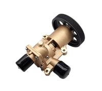 KszViQ Pompa 'Acqua di Mare for Modelli D4-180 D4-210 D4-225 D4-260 D4-300 50384-8000 JPR-VP0040DA 3584062