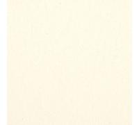 Kt KILOtela - Tessuto Arredo Canvas, Decorazione, Rivestire, Foderare, Divani, Tavolo, Sedia, Letto, Tende, Cuscini, Tovaglie, Borse, 300 cm Lunghezza x 280 cm Altezza, Écru Naturale ─ 3 Metri