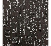 Kt KILOtela - Tessuto Canvas Stampato, Foderare, Divani, Tavolo, Sedia, Letto, Tende, Cuscini, Borse, Portafogli, 100 cm Lunghezza x 280 cm Altezza, Formule Matematiche, Bianco, Nero - 1 Metro
