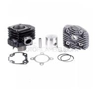 KT00087 GRUPPO TERMICO 70 CC DR 47 MOTORI MINARELLI ORIZZONTALE