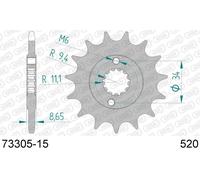 AFAM Pignone standard in acciaio 73305 - 520