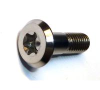KTM Telaio Bullone Titanio Piatto Testa Vite M8X26 T45 Torx 0019080266S N° Rust