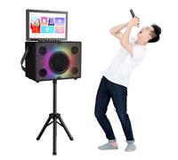 KTV - Sistema karaoke con display da 14,1", RAM da 2 GB, HDD da 500 GB, Bluetooth 5.0, WiFi a 2,4 GHz, microfono e treppiede, per intrattenimento familiare