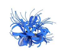 KUAIYIJU Fermaglio per capelli con fiore Bianan, clip laterale per capelli con accesso per donne e ragazze, feste e uso quotidiano