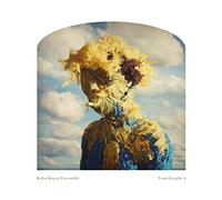 Kuba Kapsa Ensemble - Vantdraught 4