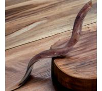 Kudu Yemenite Shofar Horn Kosher Polished Israel 32"-34" Judaica spedizione g...