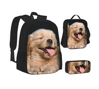 KUEhhhr Northern Lights Polar Bear - Set di borse per la scuola con borsa per il pranzo, astuccio per matite, zaino da viaggio per computer portatile, set da 3 pezzi, Golden Retriever Cani Cuccioli