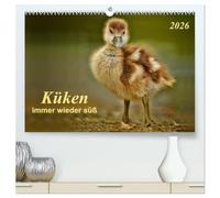 Küken - immer wieder süß (hochwertiger Premium Wandkalender 2026 DIN A2 quer), Kunstdruck in Hochglanz: Großer Kopf, großer Schnabel,große Augen und unwahrscheinlich niedlich - Küken.