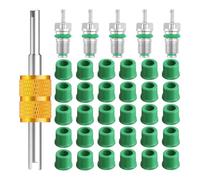 Kueohse Kit Guarnizioni Tubo Flessibile di Carica R134a da 1/4 di Pollice, Accessori per Valvola del Condizionatore D'Aria, Include 30 Guarnizioni Tubo Flessibile Valvola