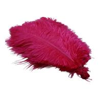 Kueohse Piume di struzzo, spettacoli sul palco, gioielli fatti a mano e decorazioni in rosso rosa