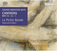 Kuijken - Thornhill - Noskaiov Cantatas for the Complete Liturgical Year Vo (CD)