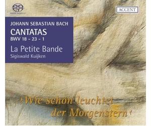 Kuijken - Thornhill - Noskaiov Cantatas for the Complete Liturgical Year Vo (CD)