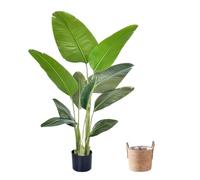KUKKUME Pianta Artificiale Grande 160 cm Piante Artificiali Uccello del Paradiso in Vaso Piante Finte Albero Artificiale Palma Artificiale Pianta da Interno Come il Vero per Decorazione Interna ed