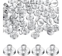 Kunetsutock Kit Trelis A Parete Esterna - Supporto con Ancoraggi 50/100 | Accessori Resistenti per Piante Treppatrice, Balcone Di Supporto Per Giardino Mobili Fiori Verdi Casa