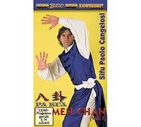 Kung Fu Pa Kua Pa Men Chan Form Vol 1