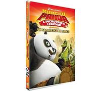 Kung Fu Panda - L'incroyable lA©gende - Vol. 1 : Un sacrA© coco de croco (DVD)
