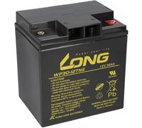 Kung Long Batteria Piombo 12V 30Ah AGM WP30-12TNE Cicli Resistente bgl. MP30-12C