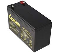 Kung Long wp1236 W 12 Volt 36 W batteria con piombo 9 AH, 6,3 mm FASTON Tab 250