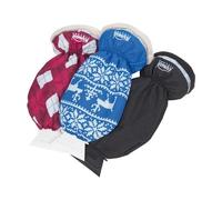 Kungs 1723300 Raschietto per ghiaccio