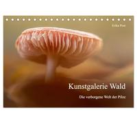 Kunstgalerie Wald - die verborgene Welt der Pilze (Tischkalender 2027 DIN A5 quer), CALVENDO Monatskalender: Ein visuelles Pilzkunstwerk: Monat für Monat beeindruckende Pilzfotografie