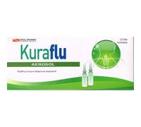 Kuraflu aerosol 10 fiale monodose