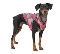 Kurgo Giacca per cani Loft, reversibile, da indossare con imbracatura o maglione, impermeabile, riflettente, cappotto invernale per cani di piccola taglia (lampada lava, S)