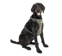 Kurgo Impact Pettorina per Auto per Cani, Sottoposta a Crash Test, Pettorina di Sicurezza per Cani, Fino a 49 Kg, Nero, XL