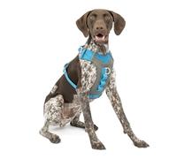 Kurgo Journey Air - Pettorina per Cani Attivi con Torace Imbottito, Tessuto Ripstop Leggero e Rete Traspirante, Dettagli Riflettenti e Maniglia Posteriore di Supporto - Blu - Taglia M