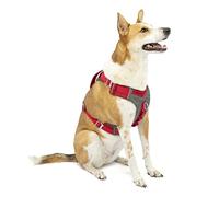 Kurgo Journey Air - Pettorina per Cani Attivi con Torace Imbottito, Tessuto Ripstop Leggero e Rete Traspirante, Dettagli Riflettenti e Maniglia Posteriore di Supporto - Rosso - Taglia XL