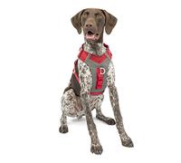 Kurgo Journey Air - Pettorina per Cani Attivi con Torace Imbottito, Tessuto Ripstop Leggero e Rete Traspirante, Dettagli Riflettenti e Maniglia Posteriore di Supporto - Rosso - Taglia M