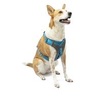 Kurgo Journey Air - Pettorina per Cani Attivi con Torace Imbottito, Tessuto Ripstop Leggero e Rete Traspirante, Dettagli Riflettenti e Maniglia Posteriore di Supporto - Blu - Taglia XL