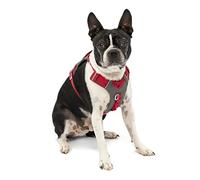 Kurgo Journey Air - Pettorina per Cani Attivi con Torace Imbottito, Tessuto Ripstop Leggero e Rete Traspirante, Dettagli Riflettenti e Maniglia Posteriore di Supporto - Rosso - Taglia S