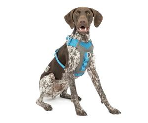 Kurgo Journey Air - Pettorina per Cani Attivi con Torace Imbottito, Tessuto Ripstop Leggero e Rete Traspirante, Dettagli Riflettenti e Maniglia Posteriore di Supporto - Blu - Taglia M