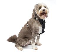 Kurgo Pettorina Cane Tru-Fit - Pettorina Cane Taglia Piccola - Media o Grande - Include Clip Anteriore Antitiraggio per Addestramento e Guinzaglio Cani per Cintura Auto (XL, Nera)